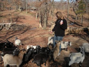 me and goats rainsville
